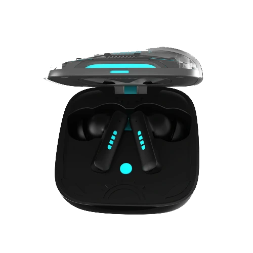 FASTER RGBP1 – ENC EARBUDS price